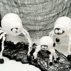 Spider Mummy Family